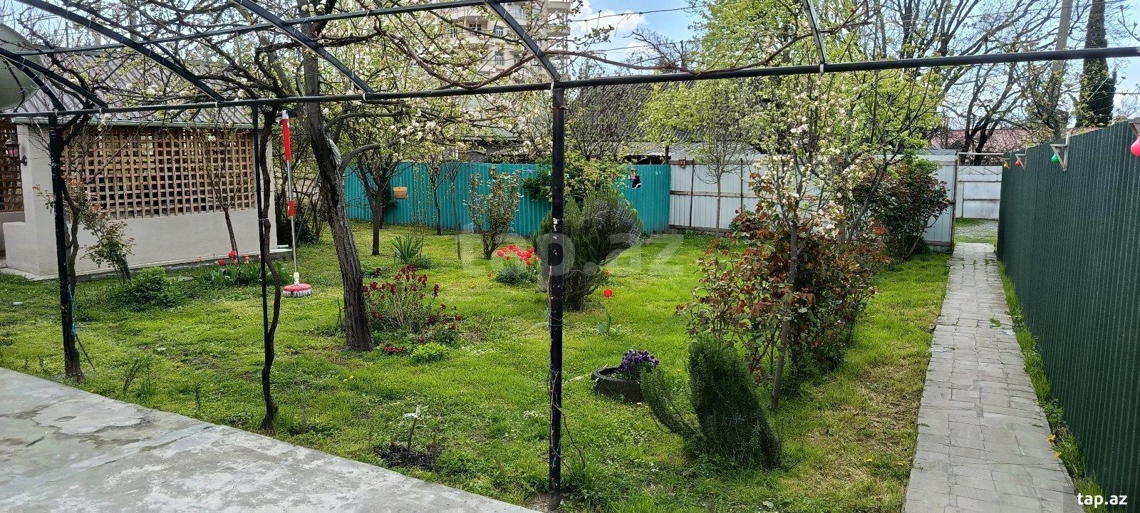 Həyət evi kirayə verilir, Qax r. (14)