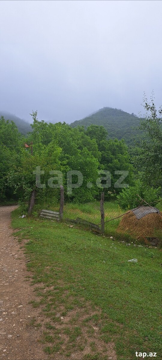 Villa kirayə verilir, Quba r. (15)