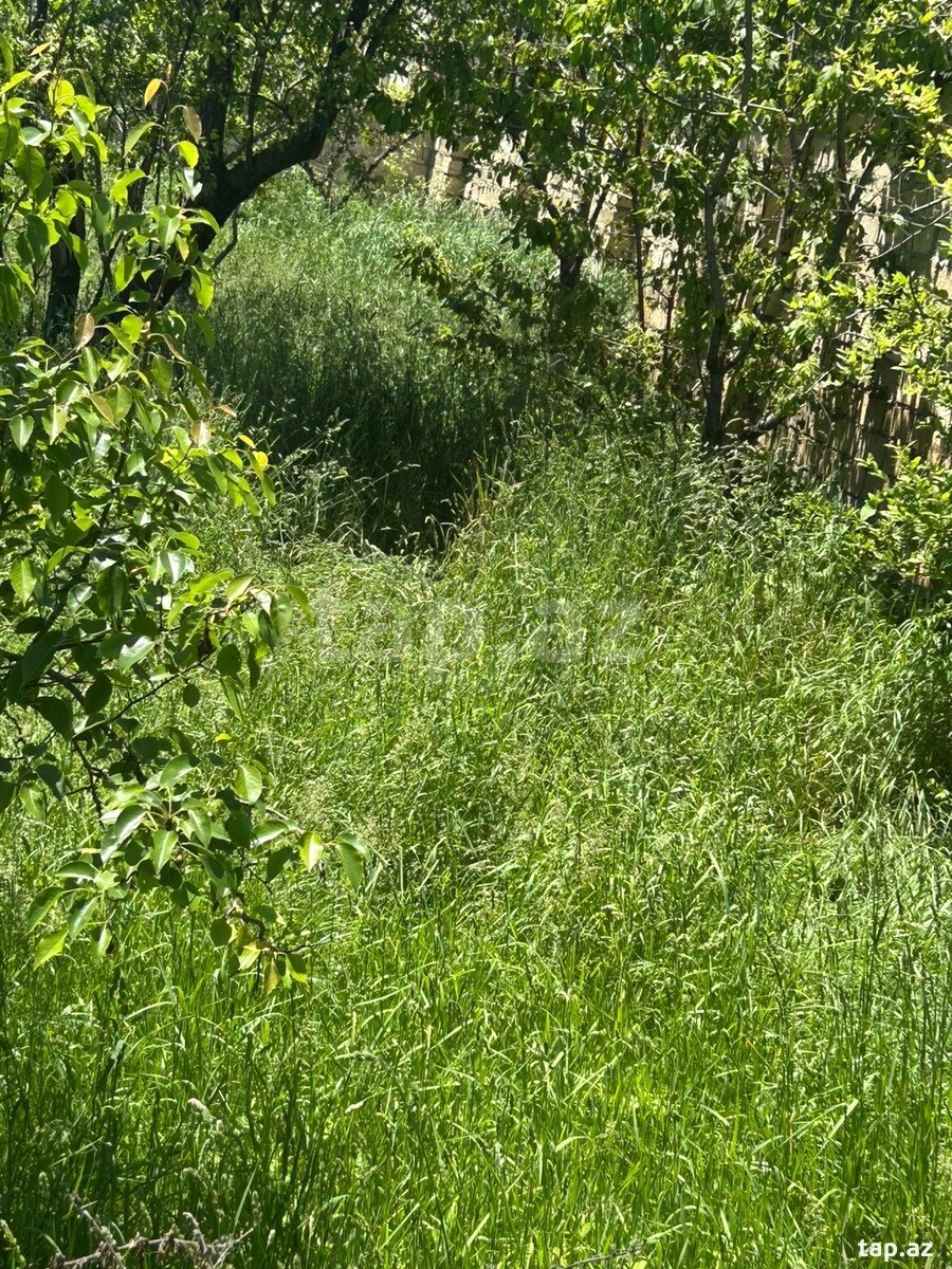 6 sot torpaq sahəsi, Qusar r.