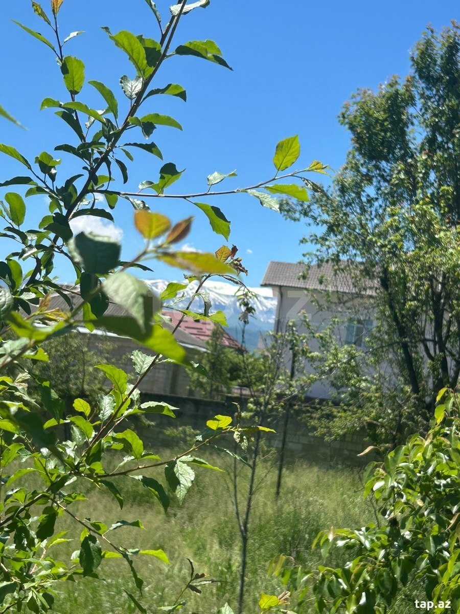 6 sot torpaq sahəsi, Qusar r. (5)