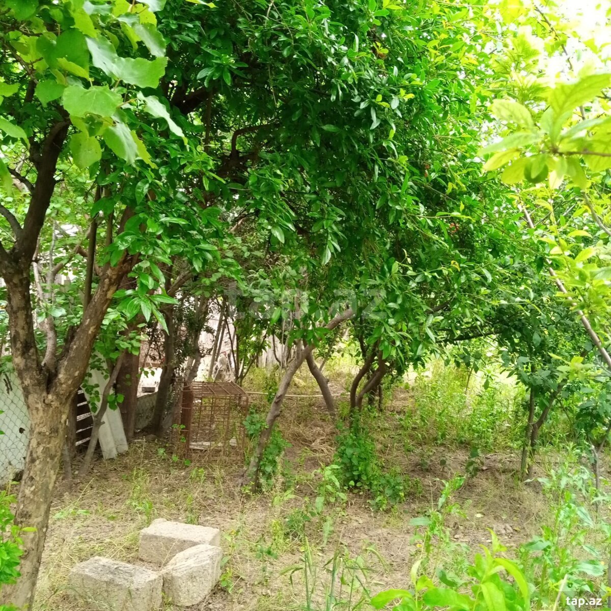 6 sot torpaq sahəsi, Sumqayıt ş. (6)