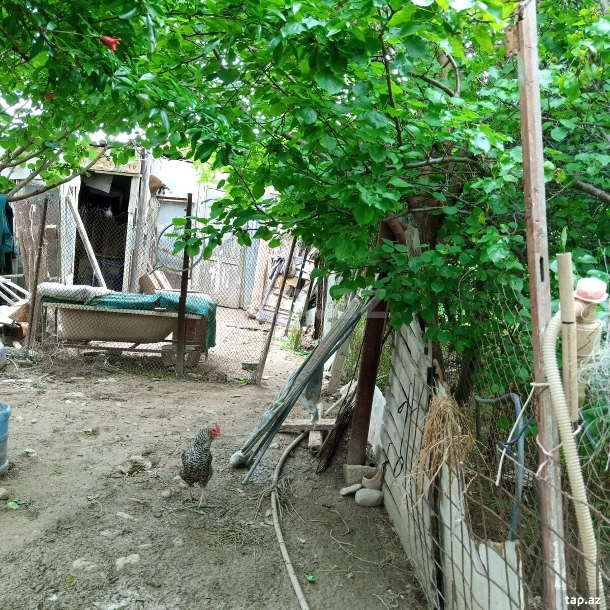 6 sot torpaq sahəsi, Sumqayıt ş. (4)