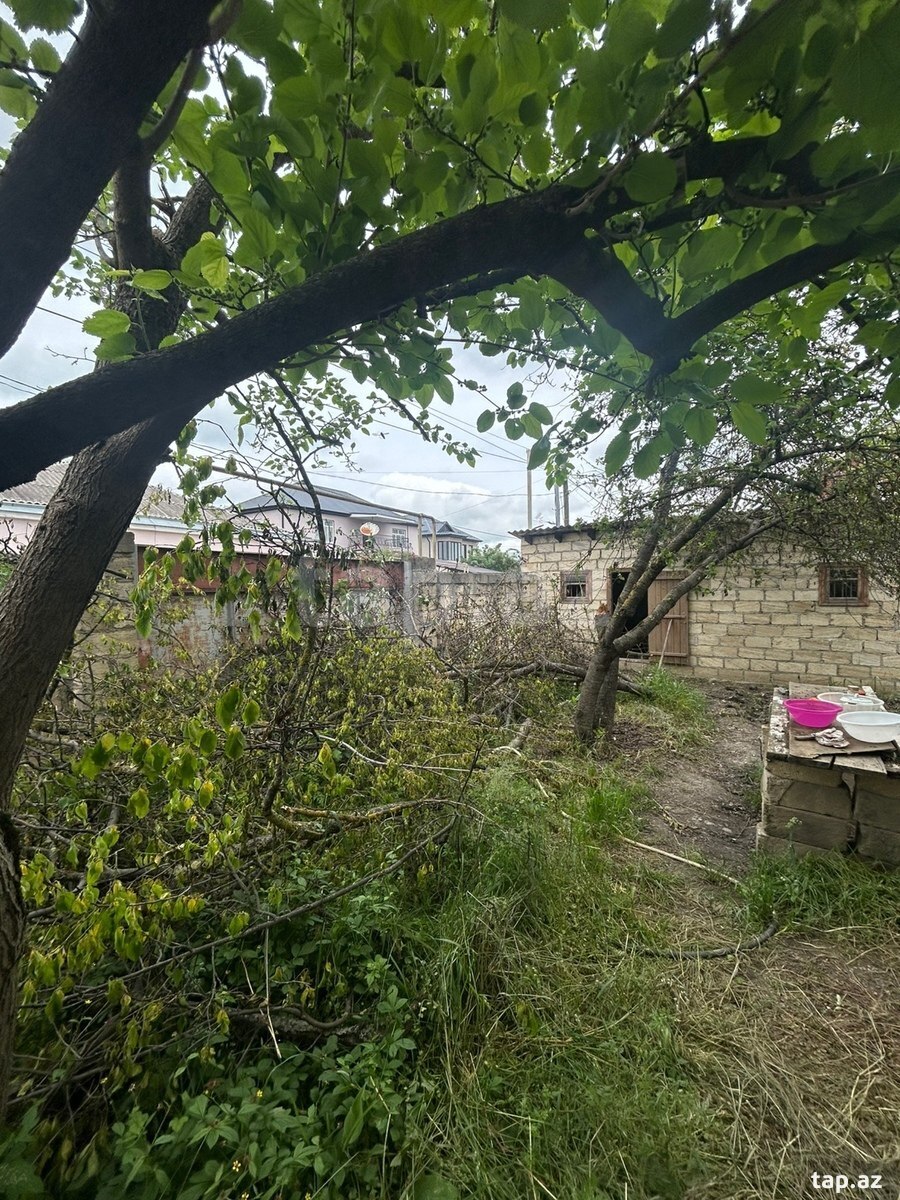 4 sot torpaq sahəsi, Qusar r. (5)
