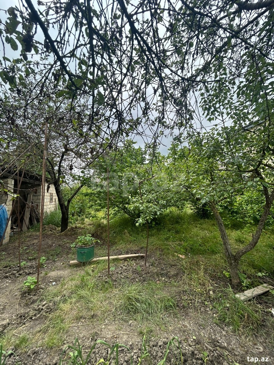 4 sot torpaq sahəsi, Qusar r. (4)