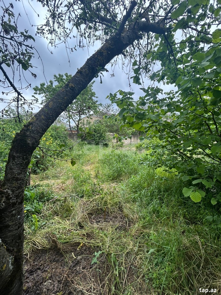 4 sot torpaq sahəsi, Qusar r. (2)