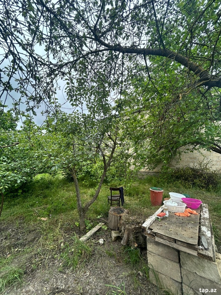 4 sot torpaq sahəsi, Qusar r. (3)
