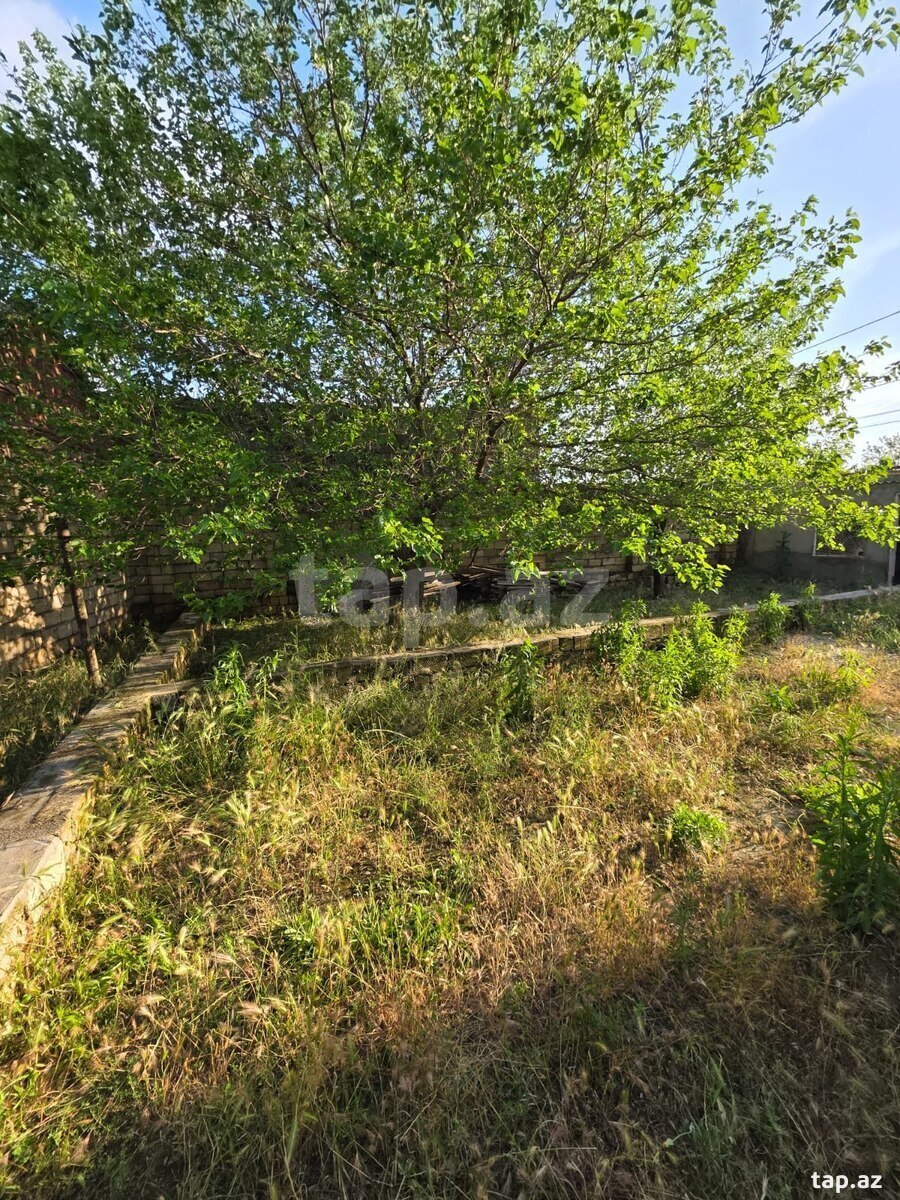 Həyət evi, Corat bağları (29)