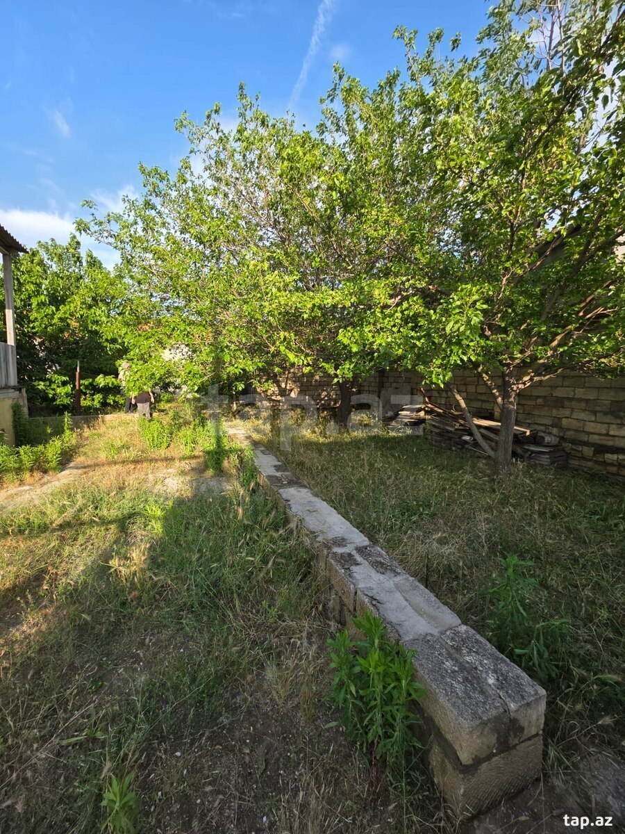 Həyət evi, Corat bağları (27)