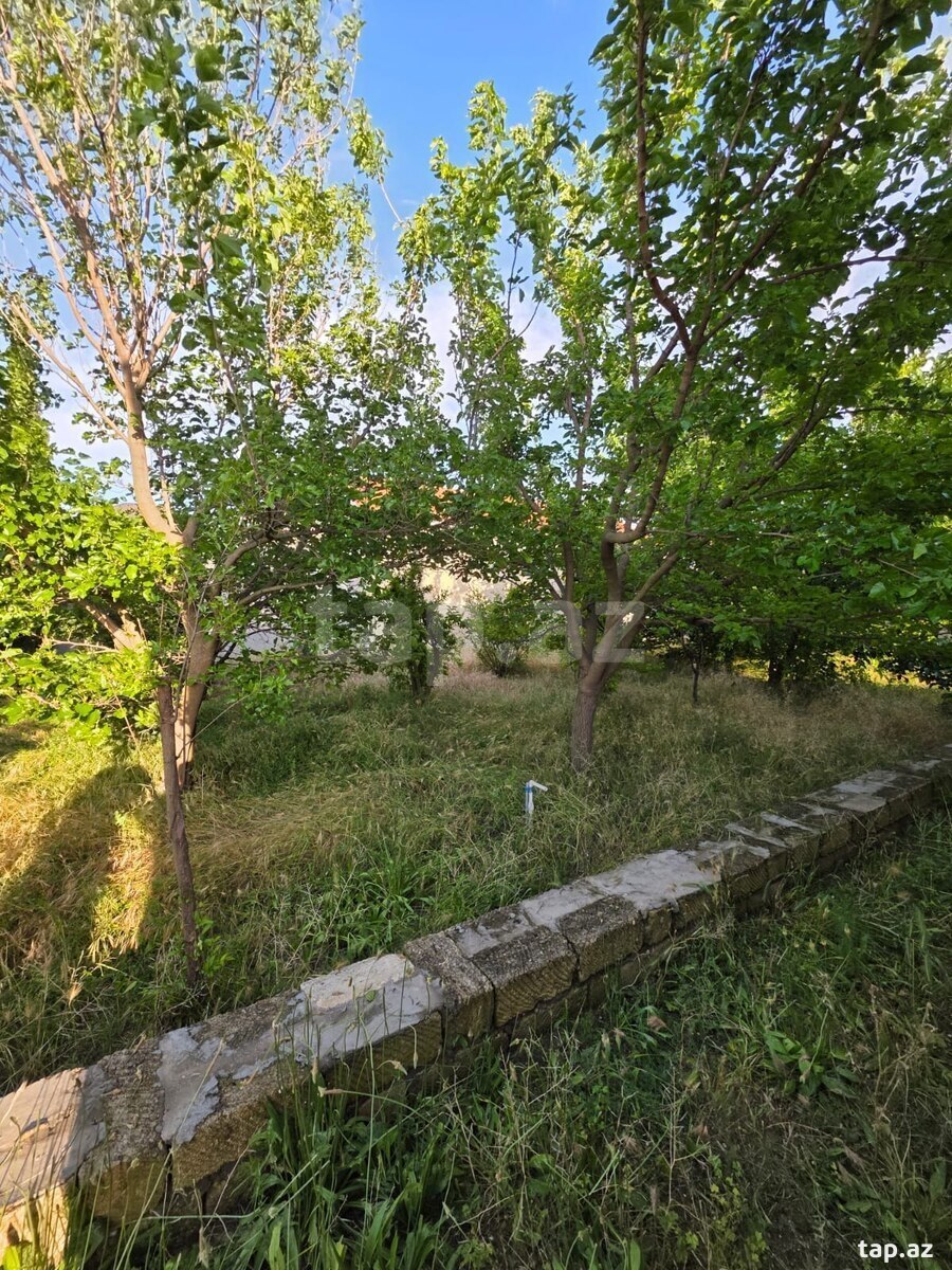 Həyət evi, Corat bağları (20)