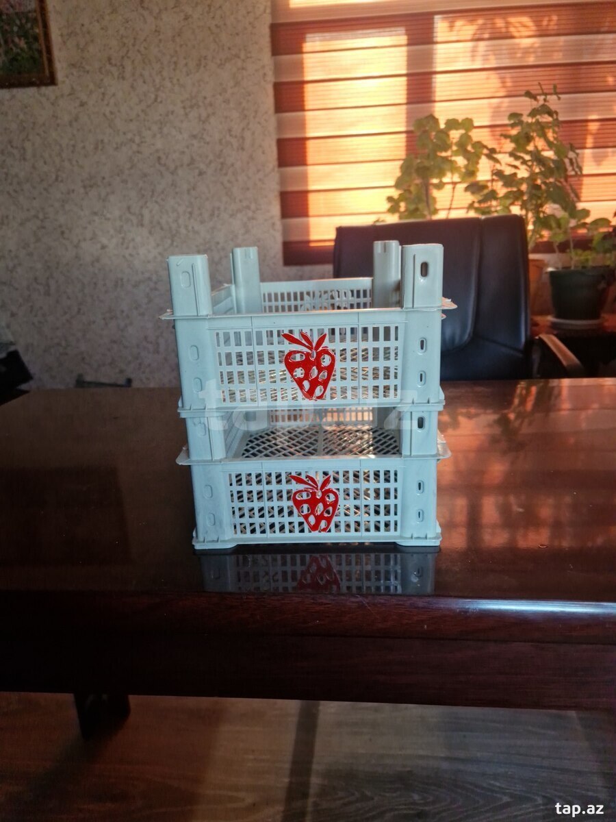 Plastik yeşiklər  (8)