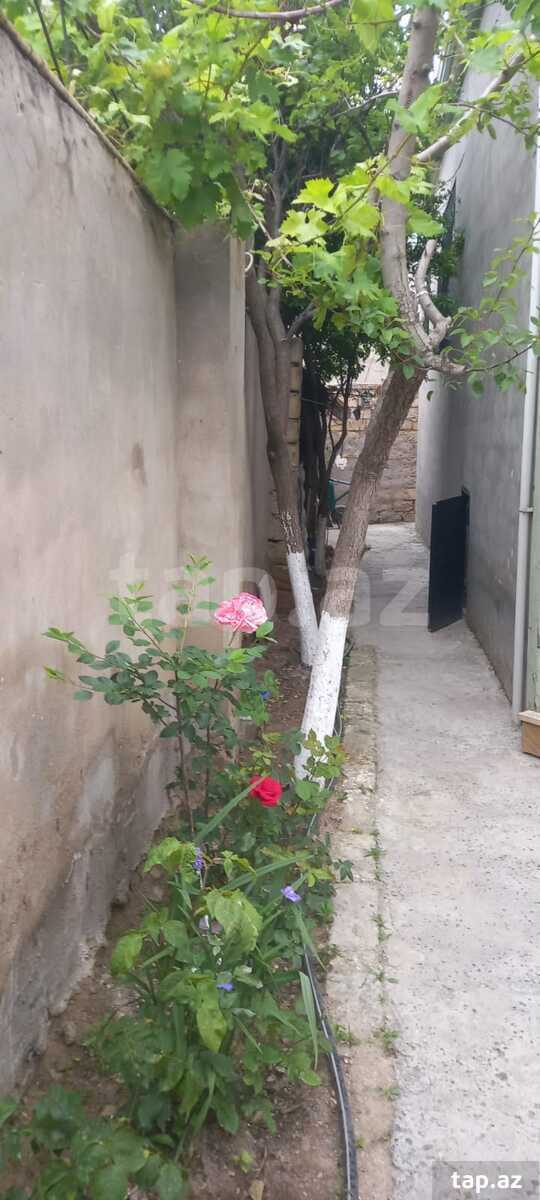 Həyət evi, Ramana Şuşa qəs. (5)