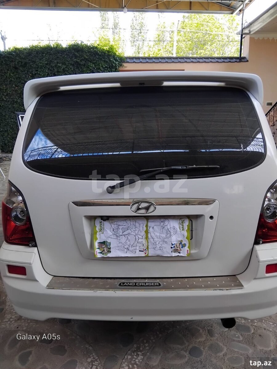 Hyundai Terracan, 2003 il (2)