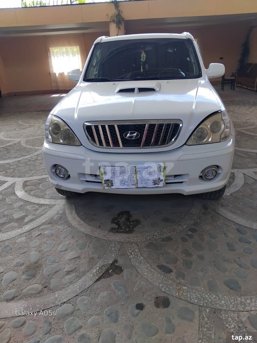 Hyundai Terracan, 2003 il (5)