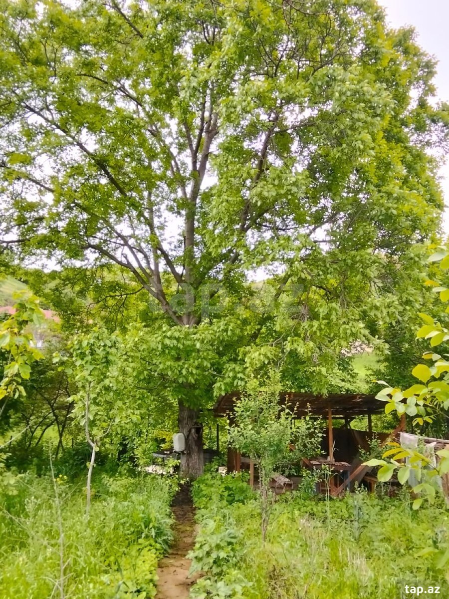 Bağ evi, Göygöl r.