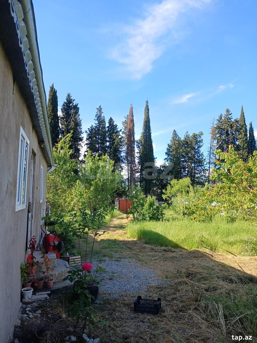 Həyət evi, Şamaxı r. (5)