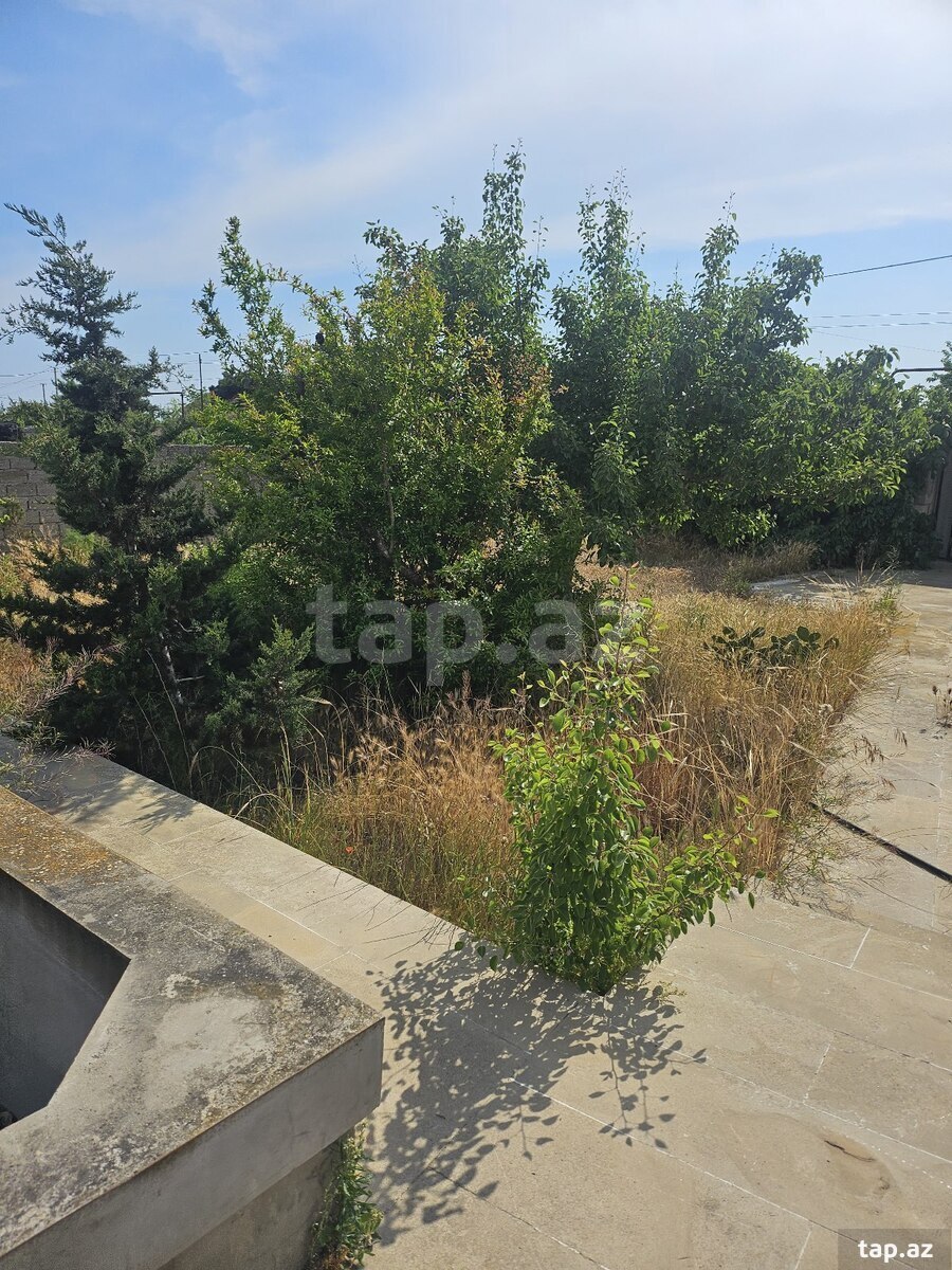 Bağ evi kirayə verilir, Türkan qəs. (9)