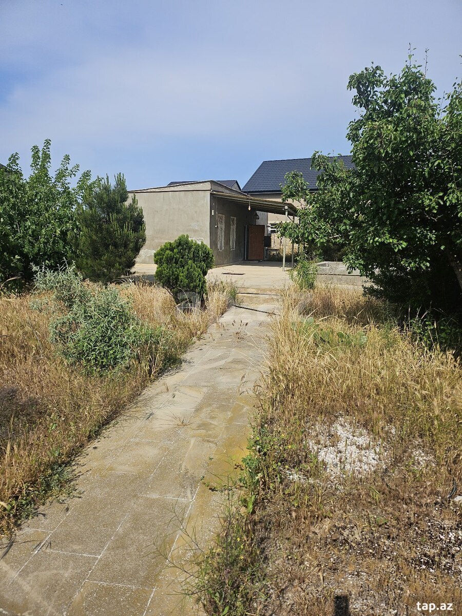 Bağ evi kirayə verilir, Türkan qəs. (10)