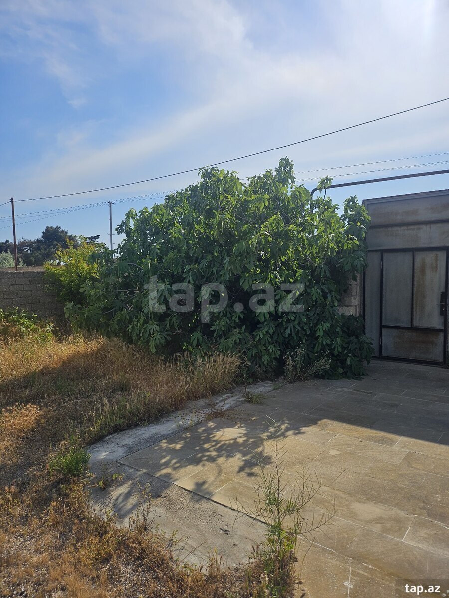 Bağ evi kirayə verilir, Türkan qəs. (11)