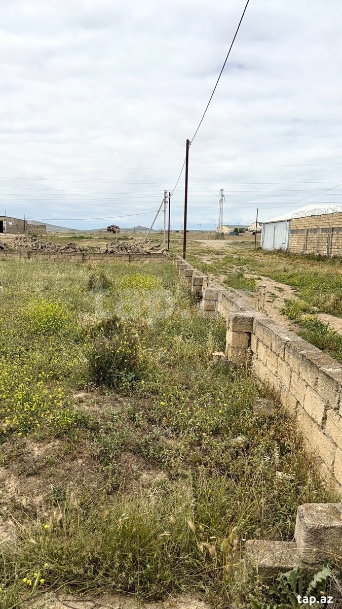 10 sot torpaq sahəsi, Qobu qəs. (2)