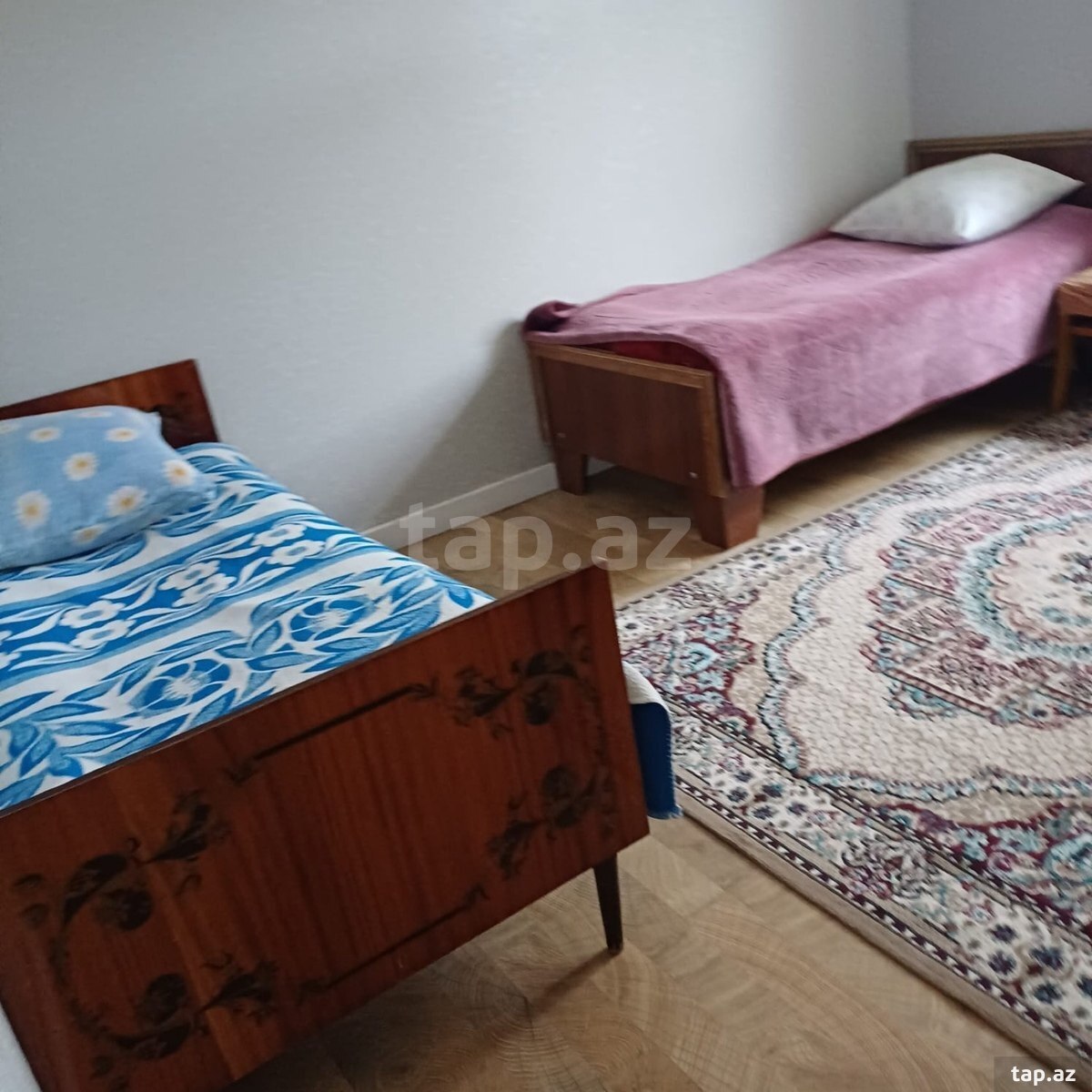 Həyət evi kirayə verilir, Laçın ş. (7)