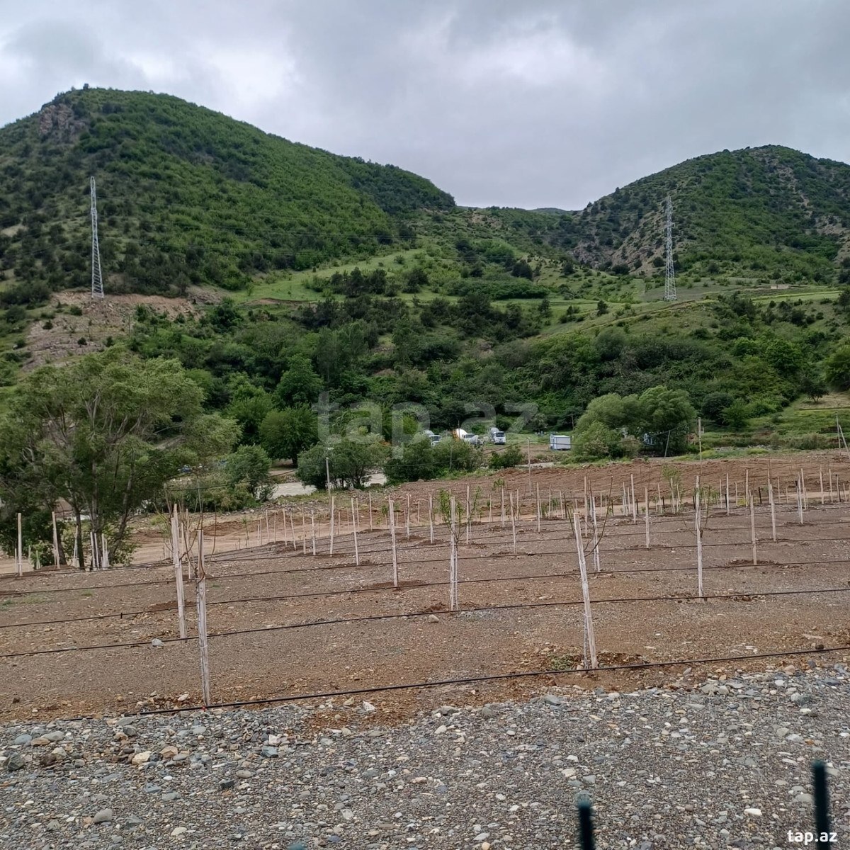 Həyət evi kirayə verilir, Laçın ş.