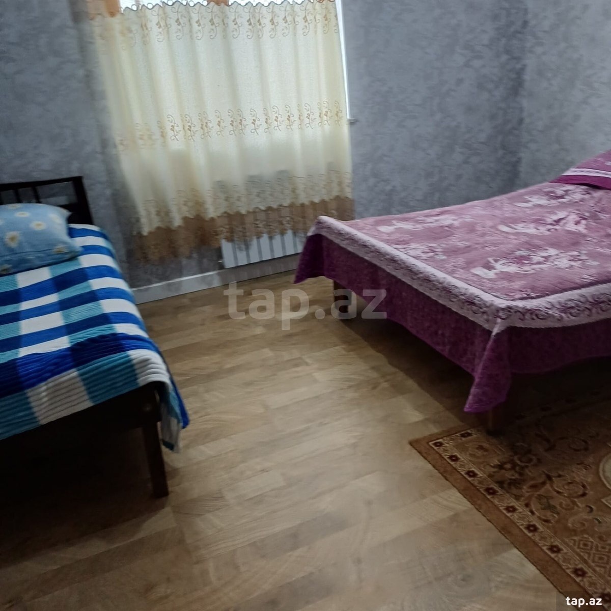 Həyət evi kirayə verilir, Laçın ş. (15)