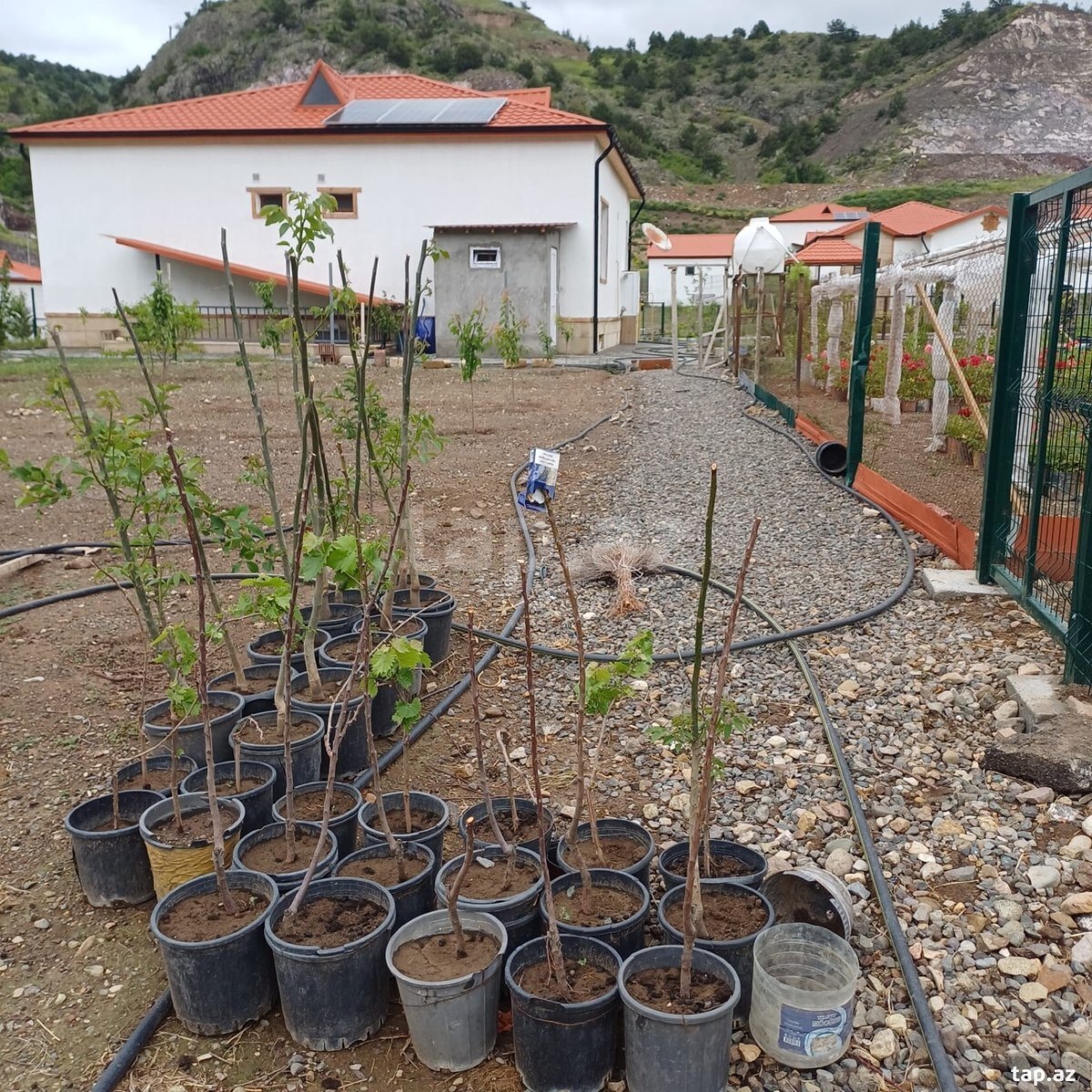 Həyət evi kirayə verilir, Laçın ş. (10)