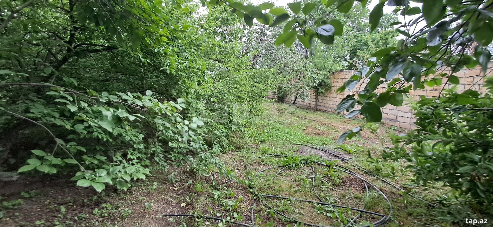 Həyət evi, Şəmkir r. (34)