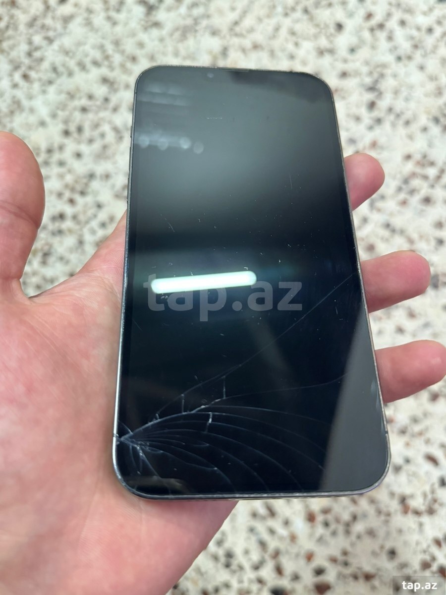 Apple iPhone 13 Pro Max Silver 256GB/6GB (7)