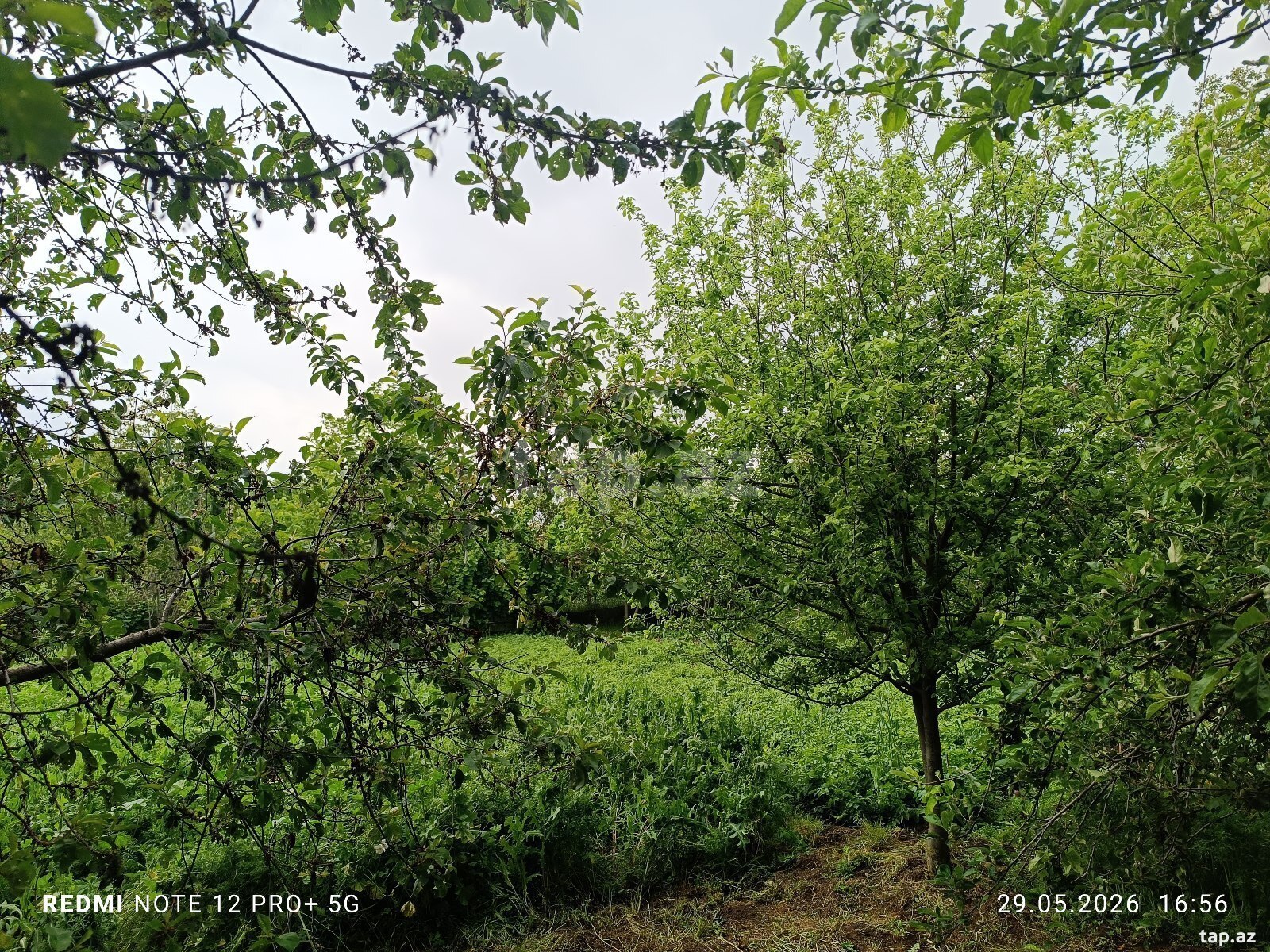 Həyət evi, İsmayıllı r.