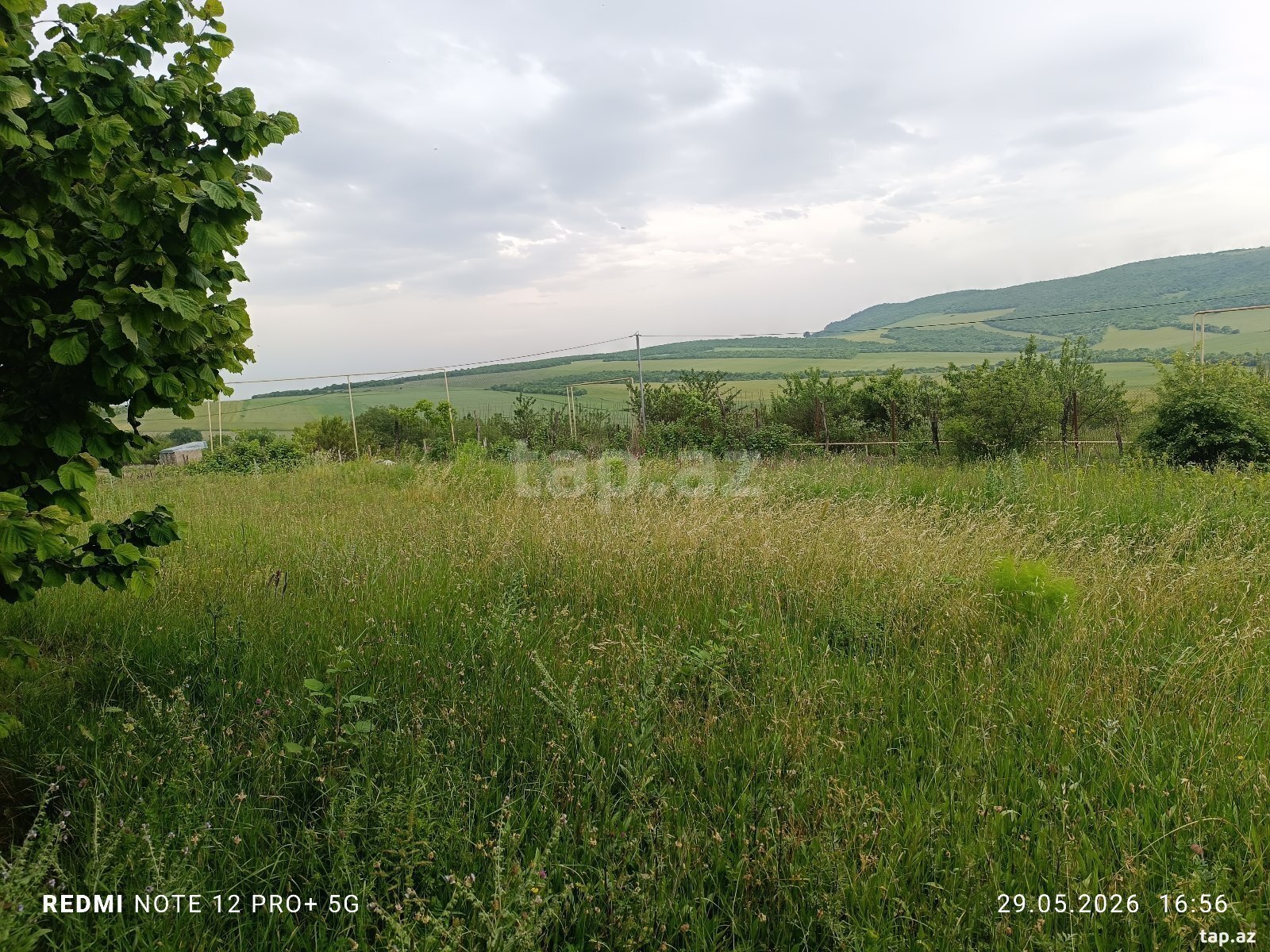 Həyət evi, İsmayıllı r.