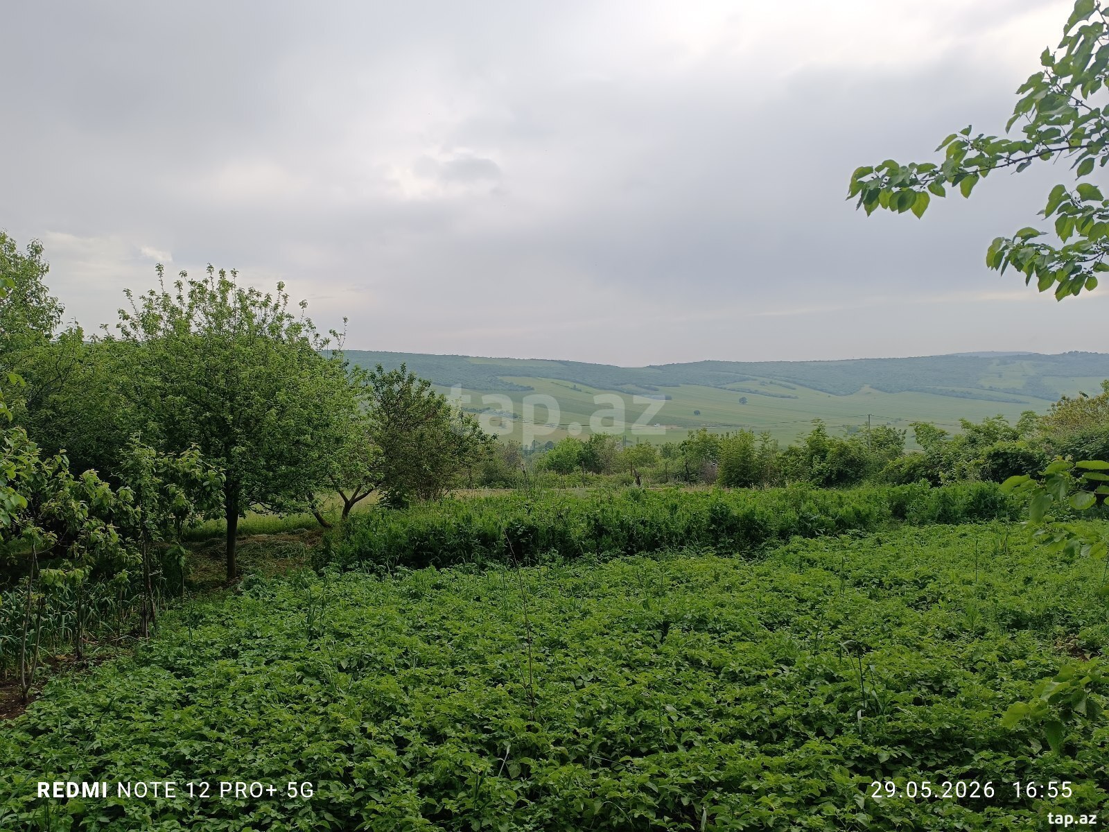 Həyət evi, İsmayıllı r.