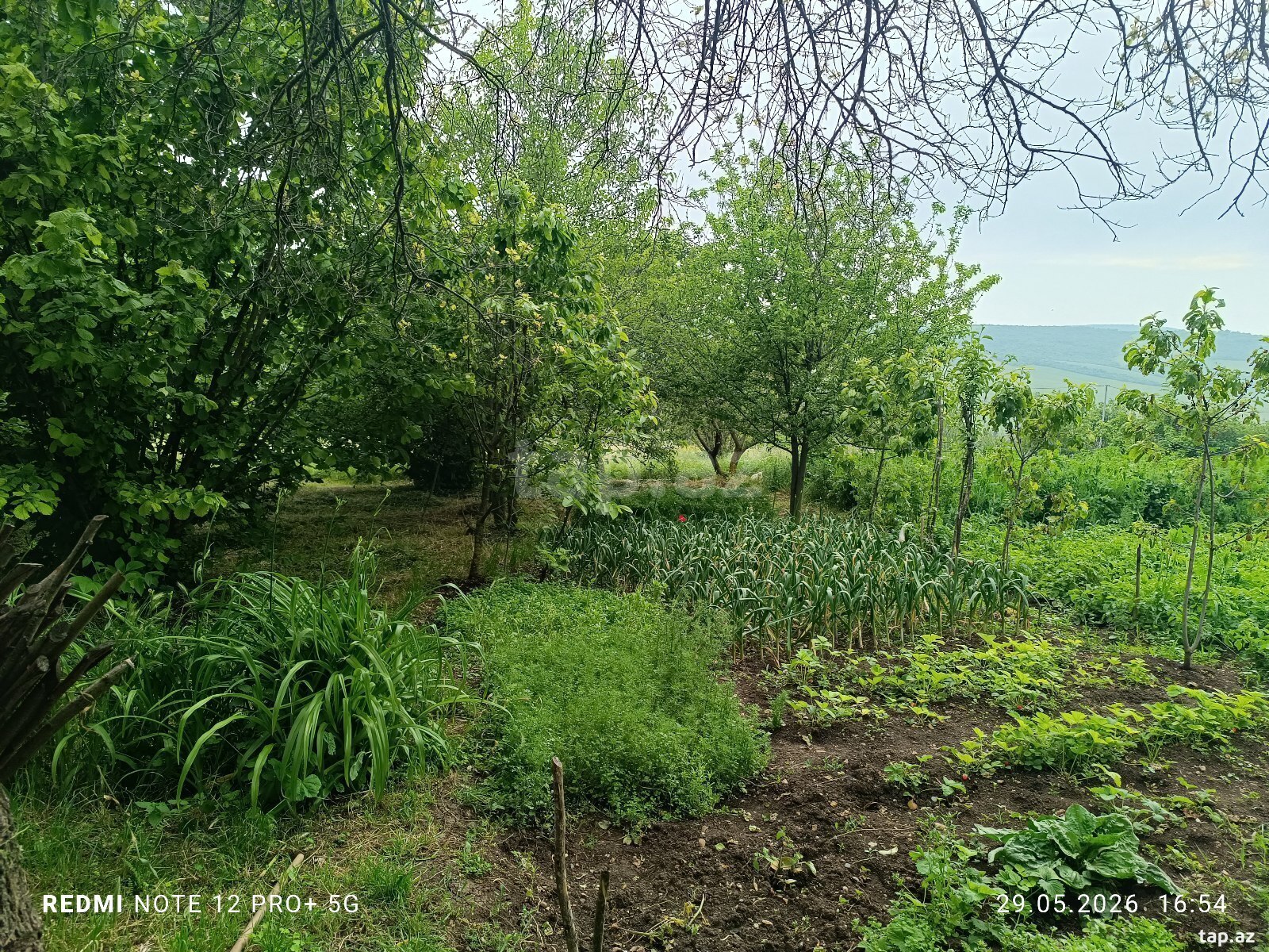 Həyət evi, İsmayıllı r.