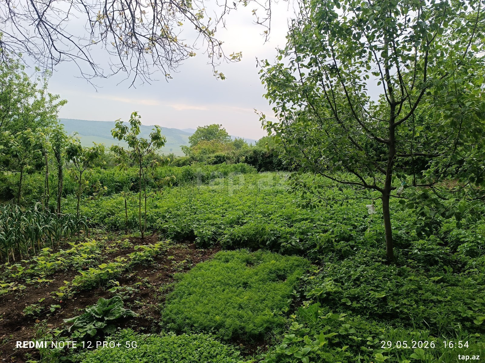 Həyət evi, İsmayıllı r.