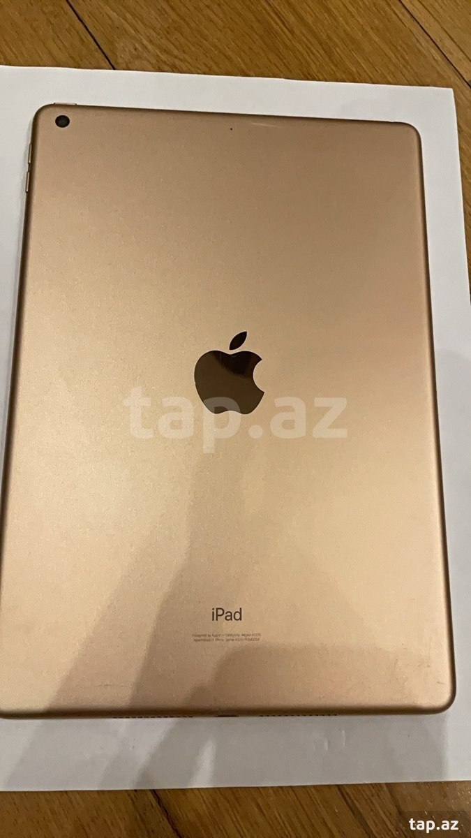 Apple iPad