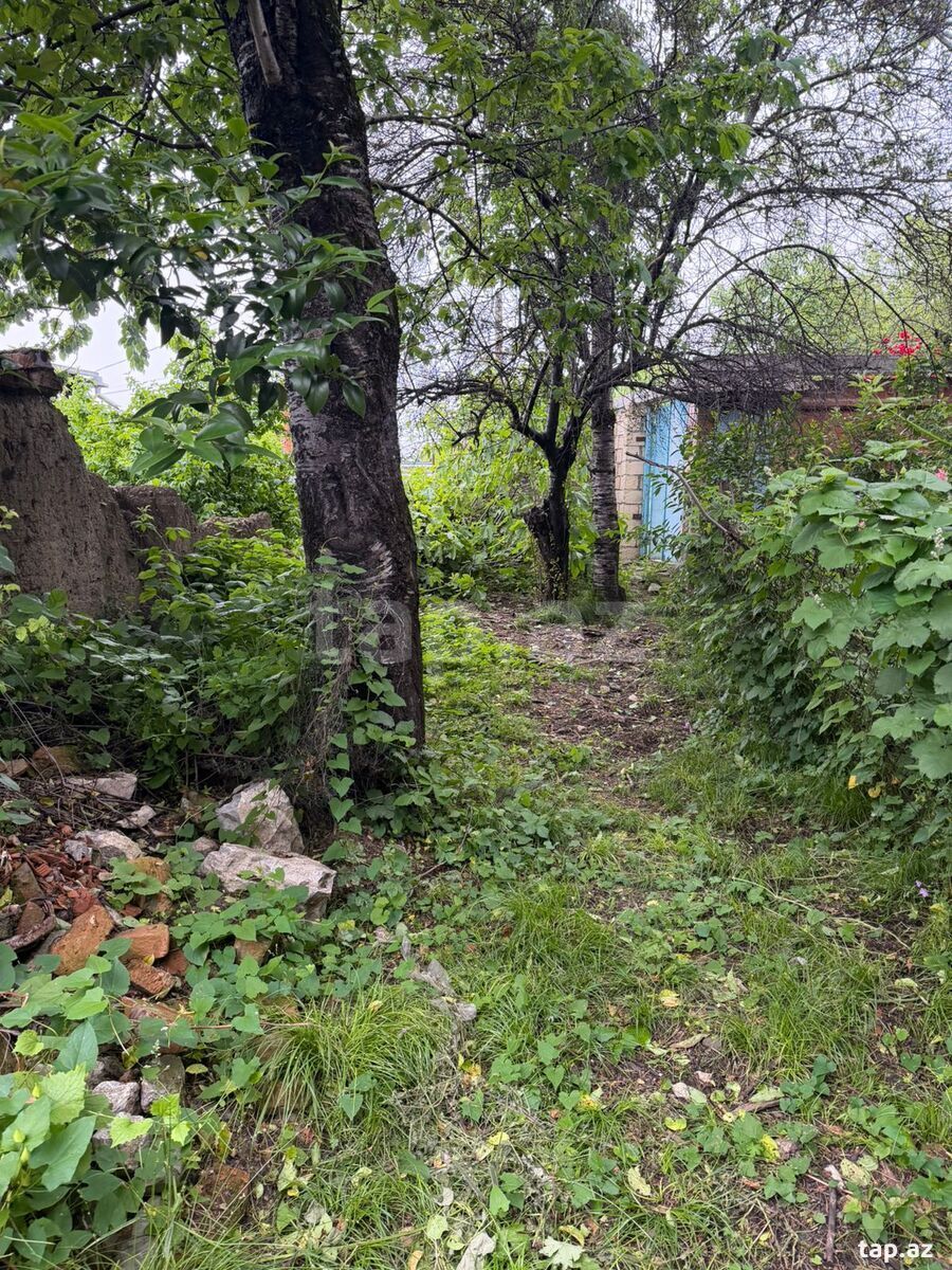 Həyət evi, Şəki ş. (4)