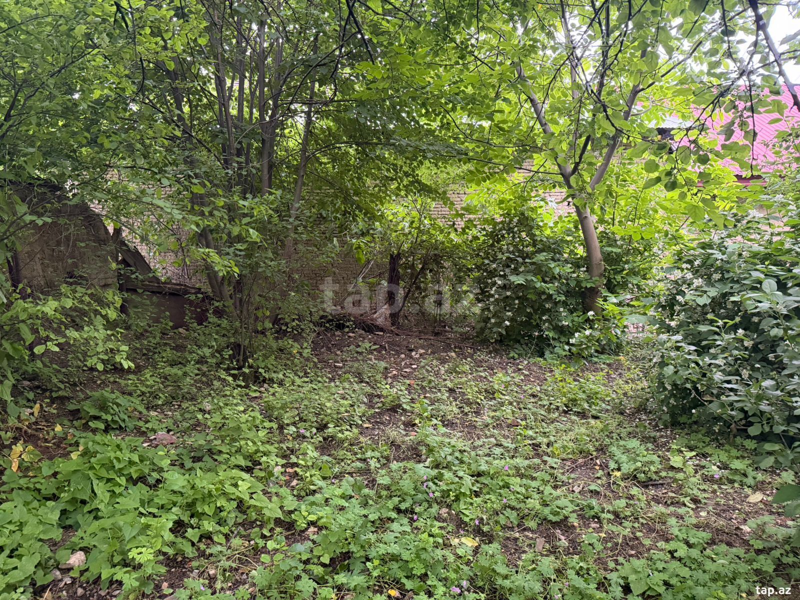 Həyət evi, Şəki ş. (17)
