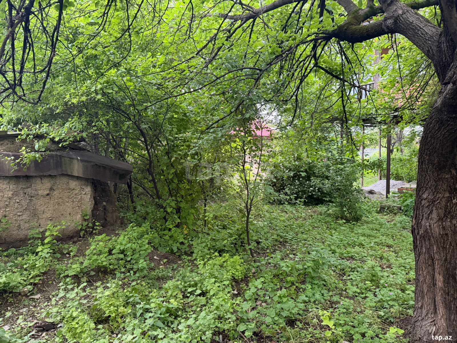 Həyət evi, Şəki ş. (14)