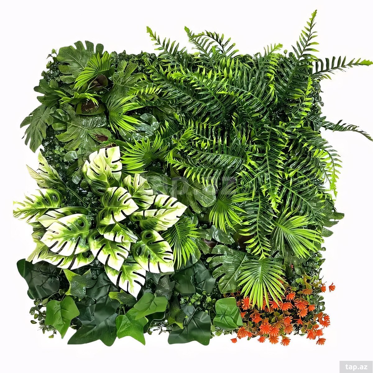  Süni yaşıllıq divar paneli 615s, plastik, 100x100 sm  (12)