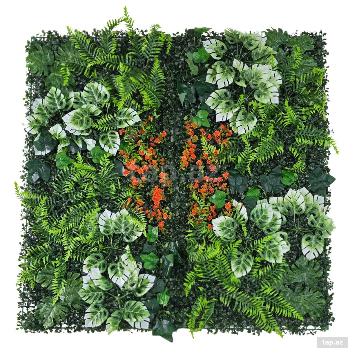  Süni yaşıllıq divar paneli 615s, plastik, 100x100 sm  (8)