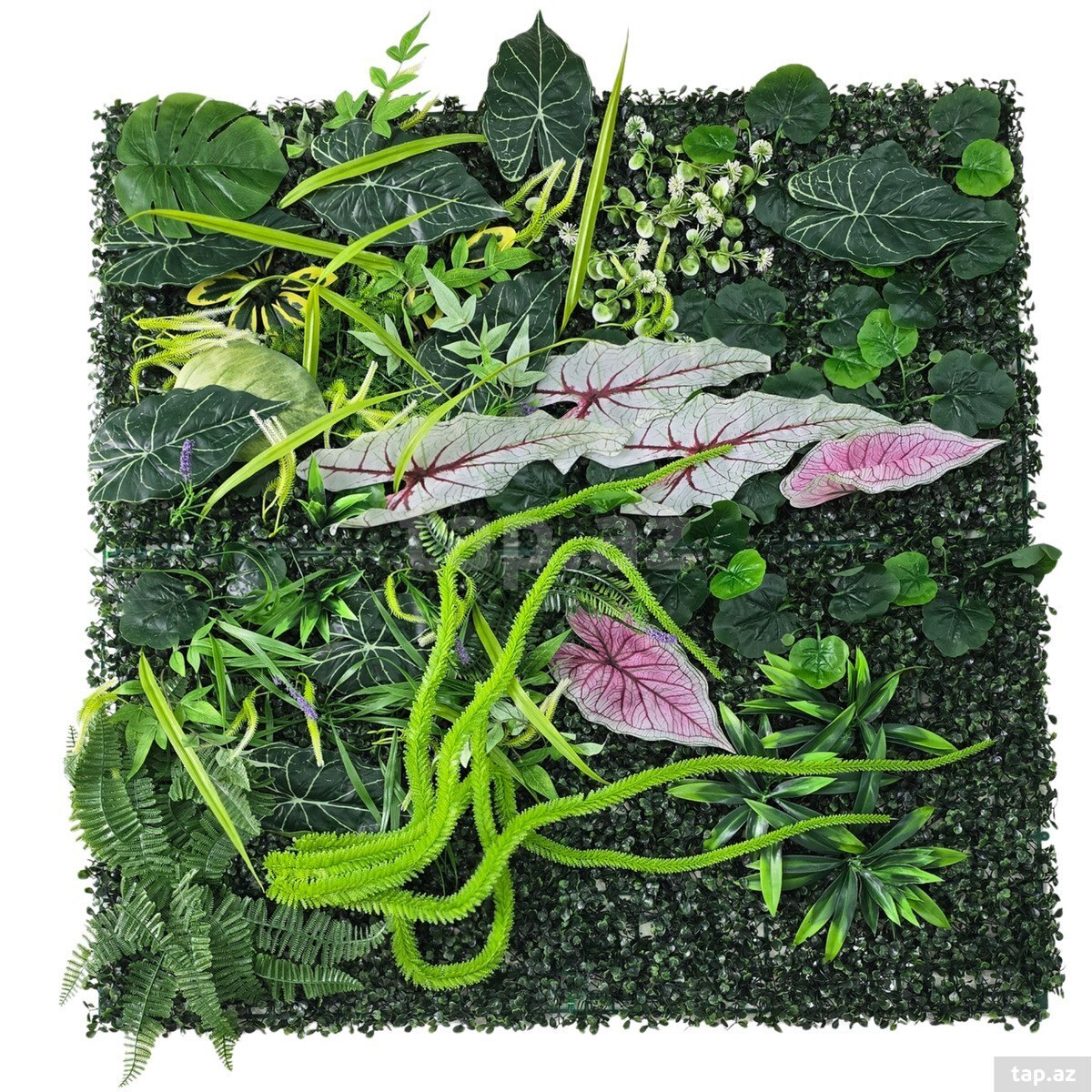  Süni yaşıllıq divar paneli 615s, plastik, 100x100 sm  (10)