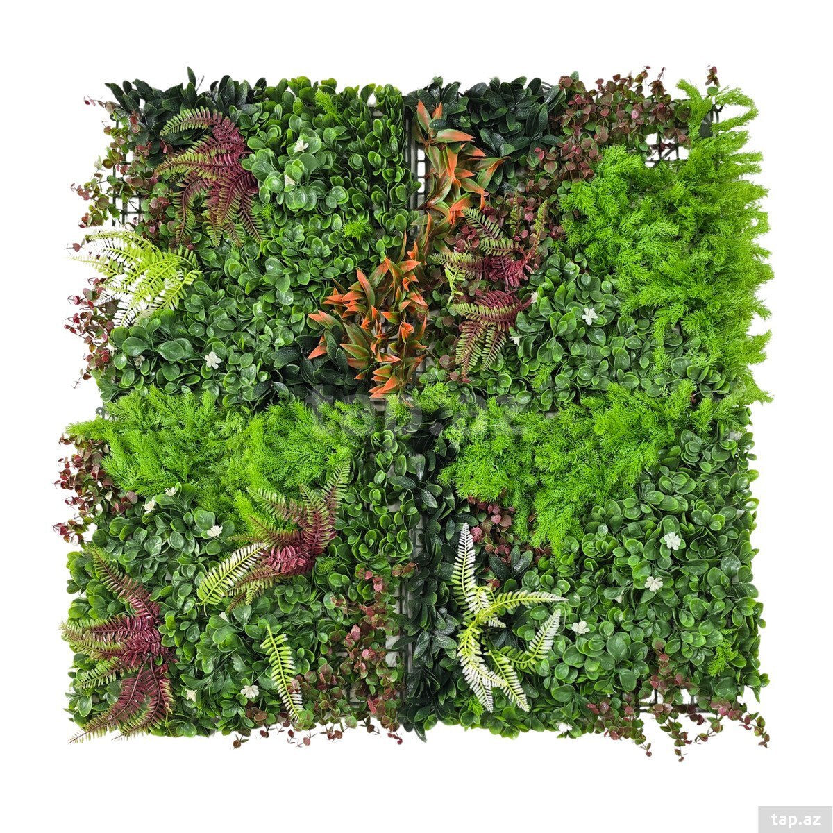  Süni yaşıllıq divar paneli 615s, plastik, 100x100 sm  (4)