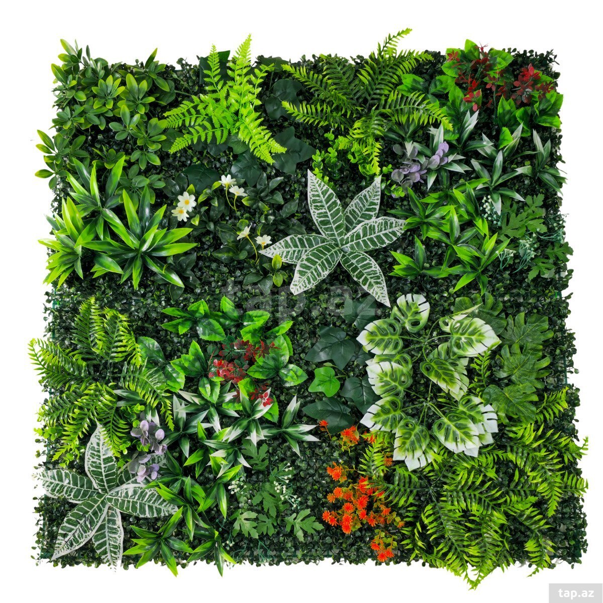  Süni yaşıllıq divar paneli 615s, plastik, 100x100 sm  (6)