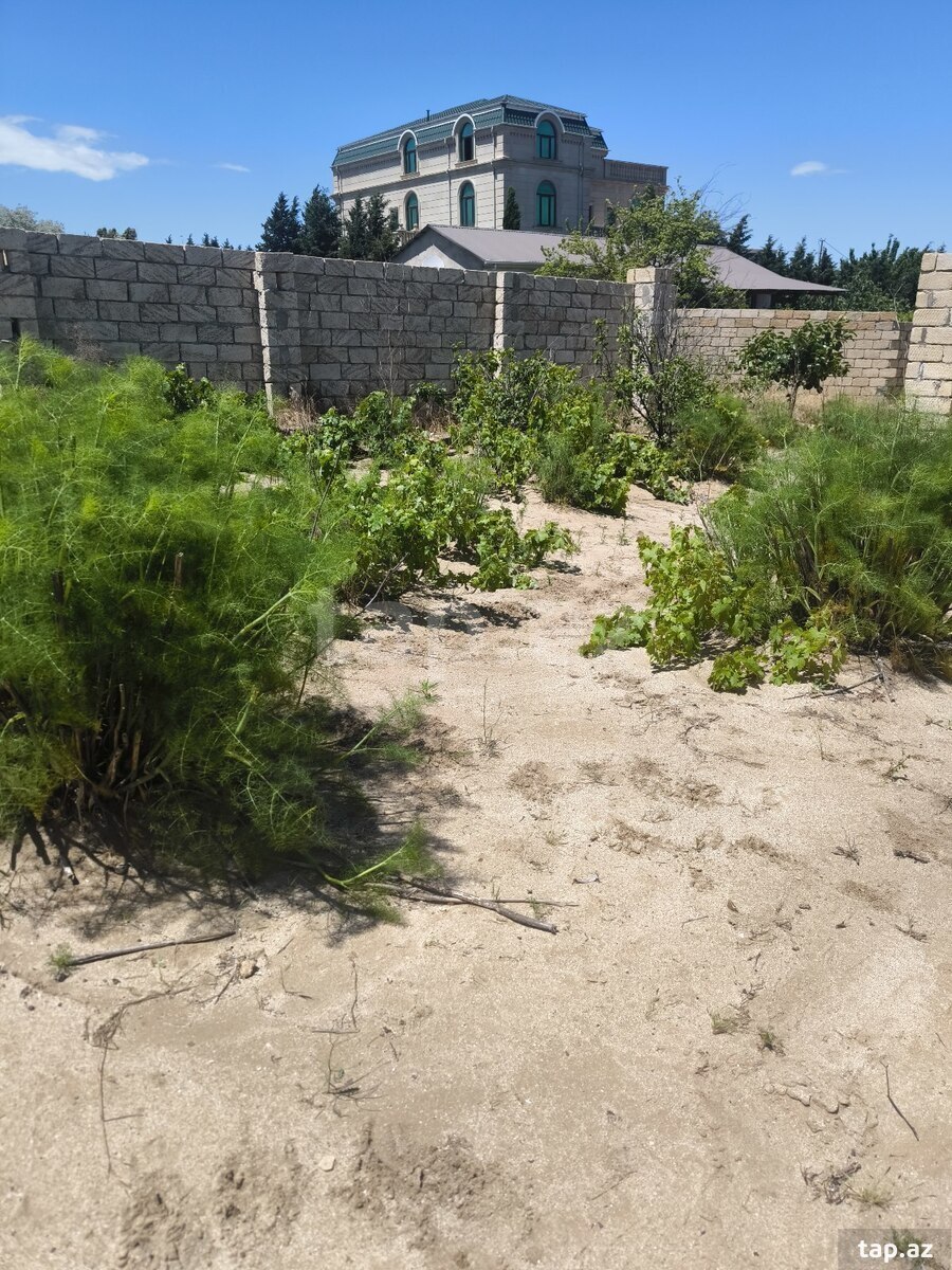 4.92 sot torpaq sahəsi, Novxanı qəs.