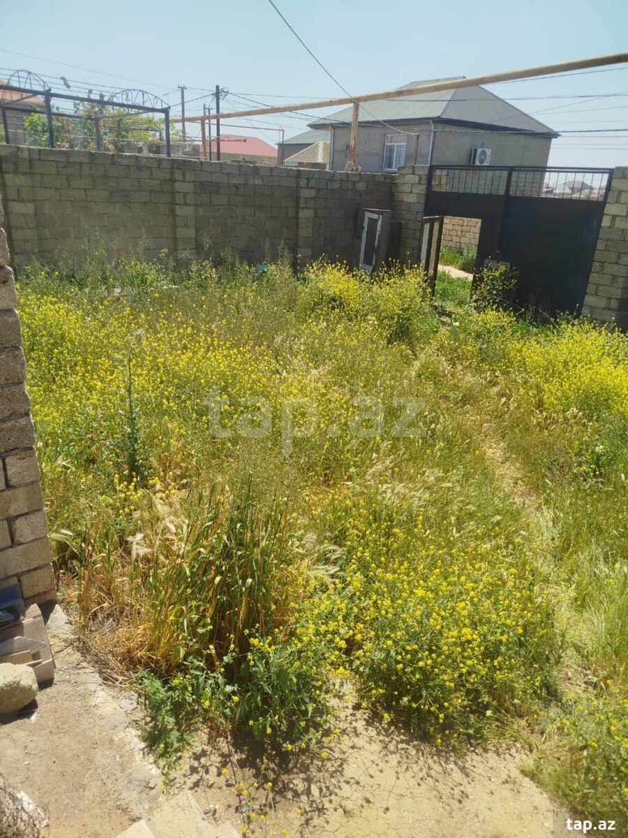 Daşınmaz əmlak agenti/ makler işi axtarıram (2)