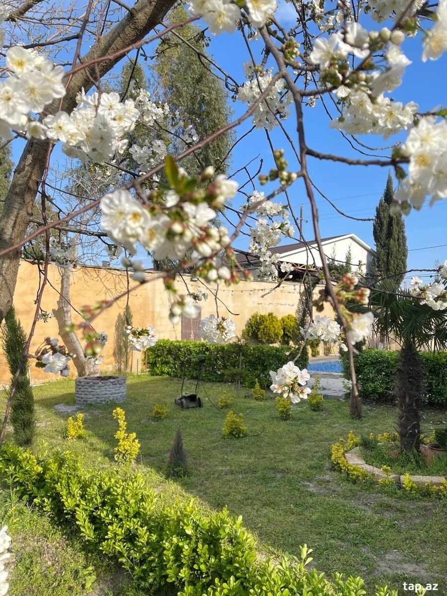 Bağ evi kirayə verilir, Novxanı qəs.