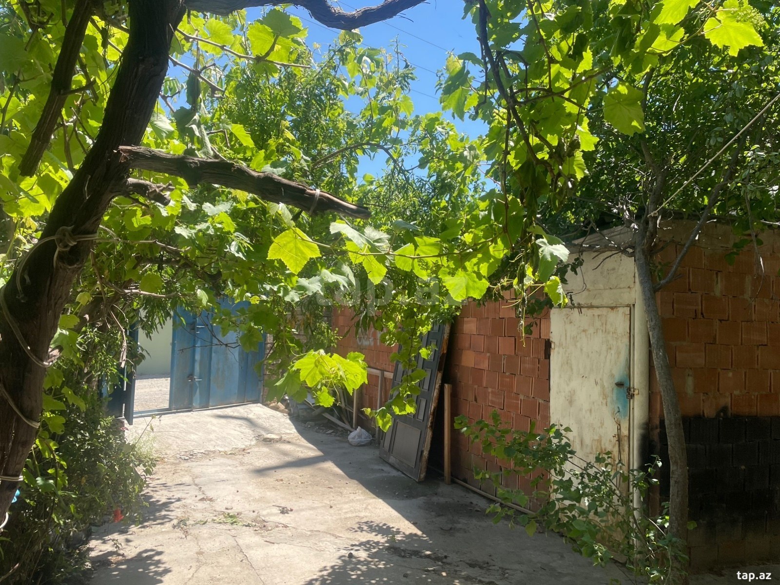 Obyekt icarəyə verilir, Köhnə Günəşli qəs. (3)