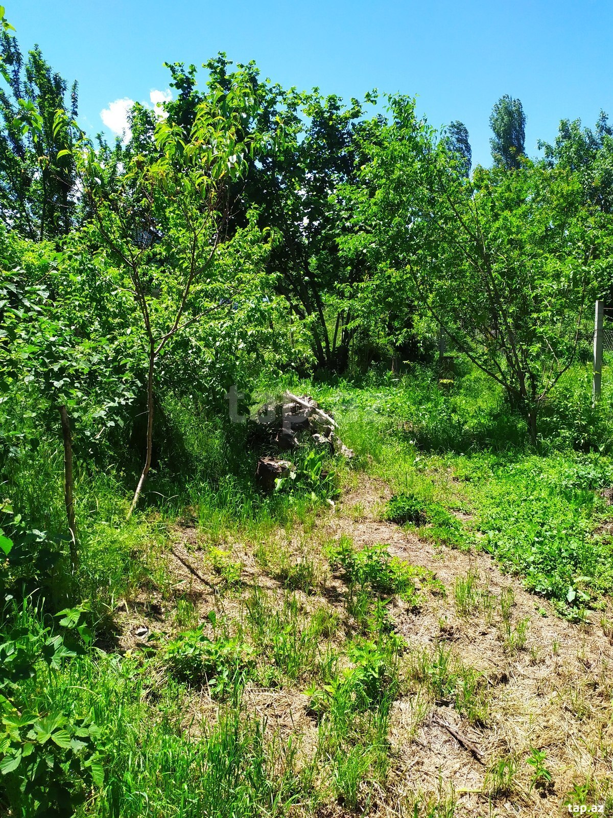 6 sot torpaq sahəsi, Üçtəpə qəs. (2)