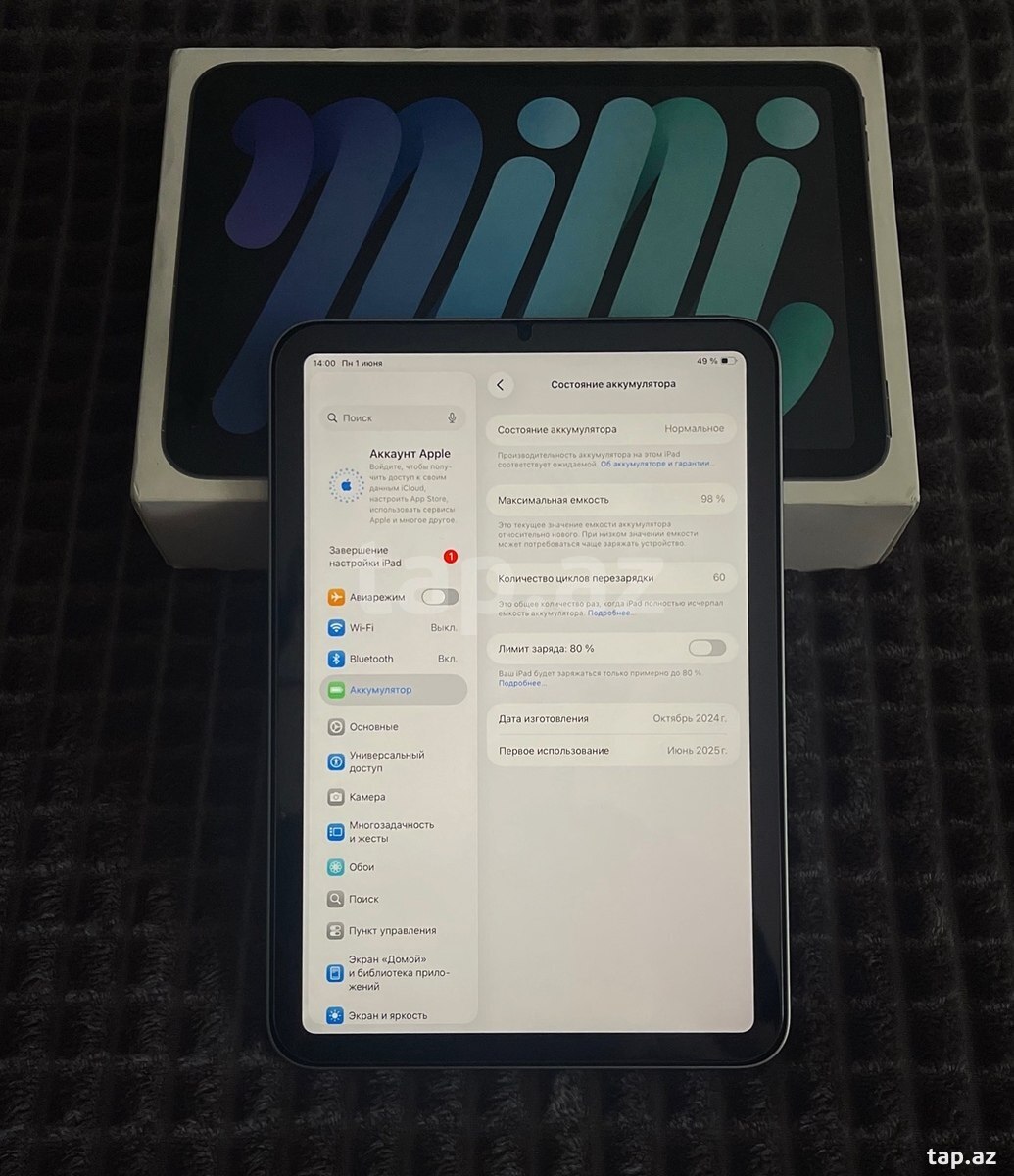 Apple iPad Mini 7 (3)