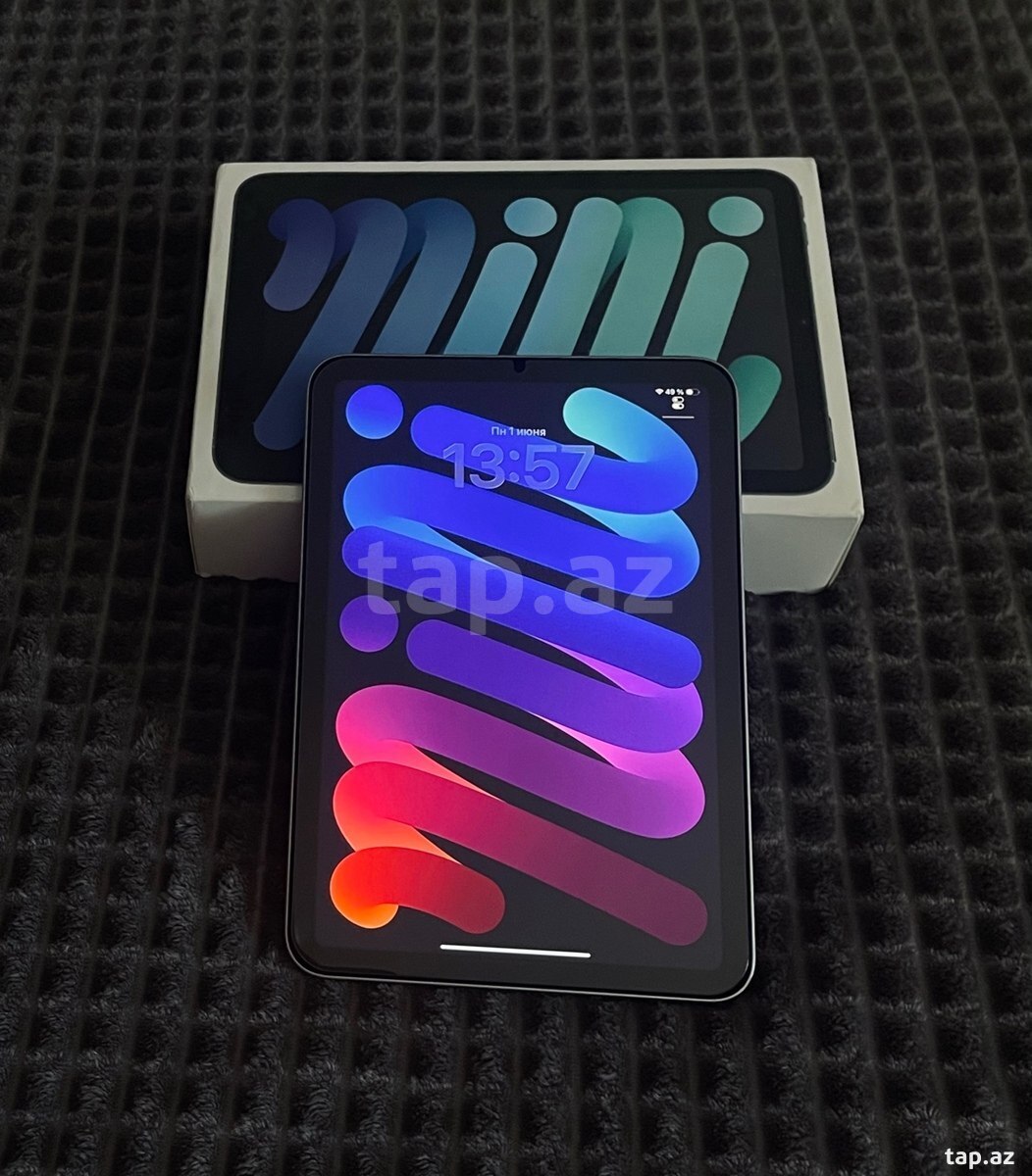 Apple iPad Mini 7 (2)
